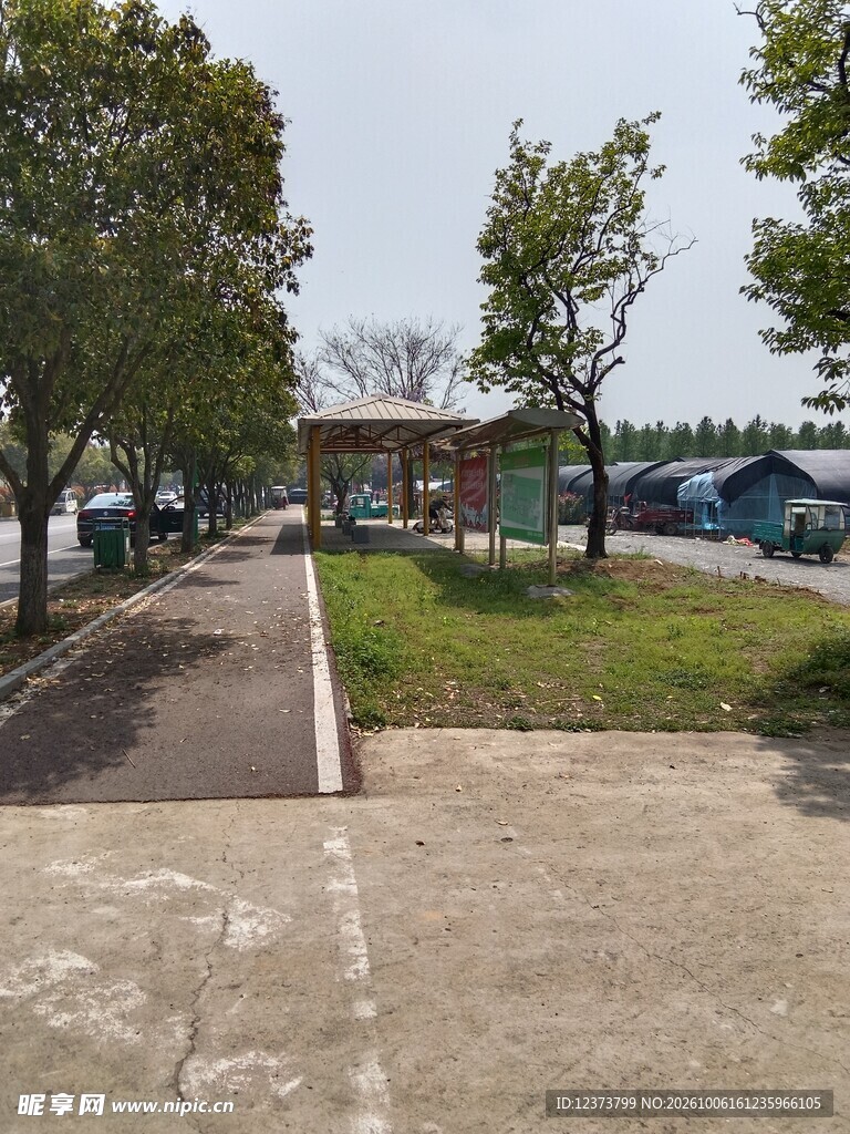 园区户外林荫道路