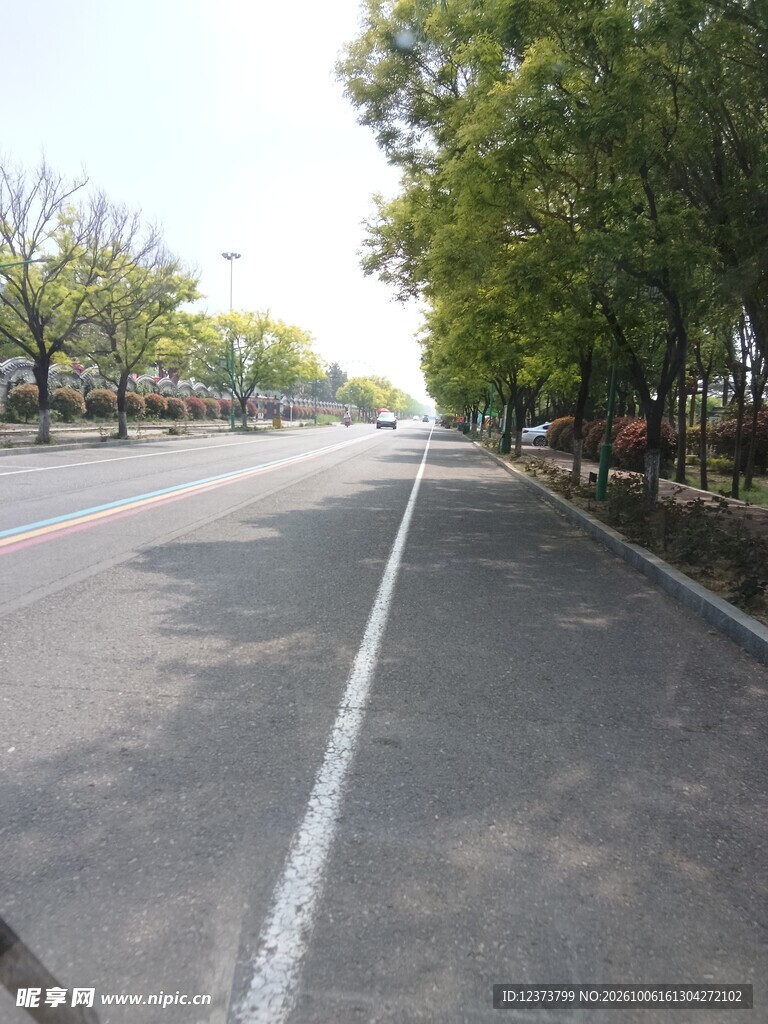 林荫公路街景