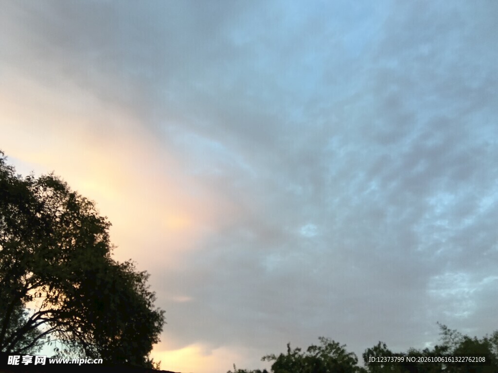 黄昏天空树木剪影