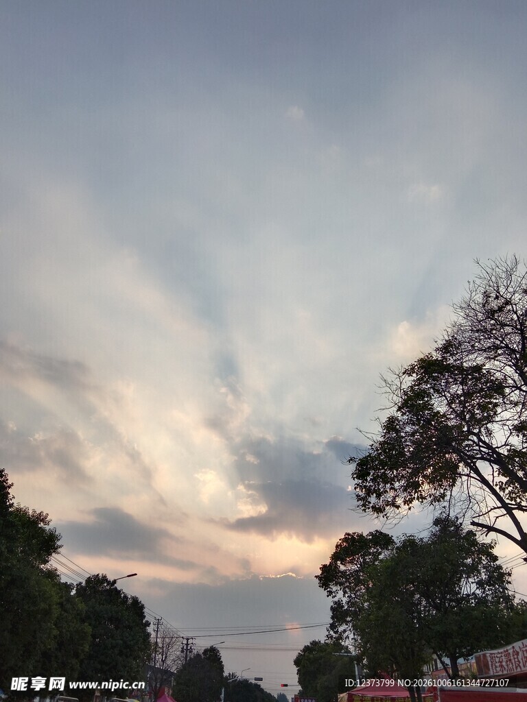 暮色天空下的树景