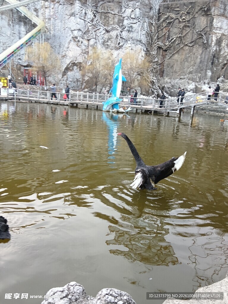河畔飞鸟掠水