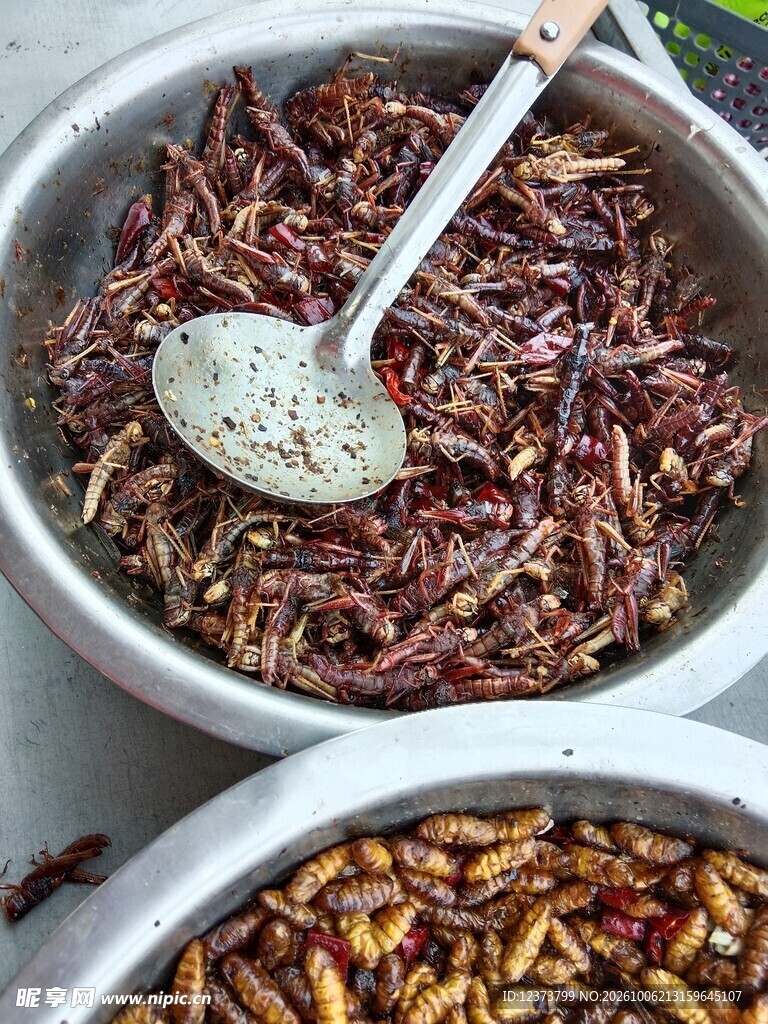 特色油炸昆虫小吃