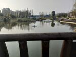 城市河畔静谧湖景