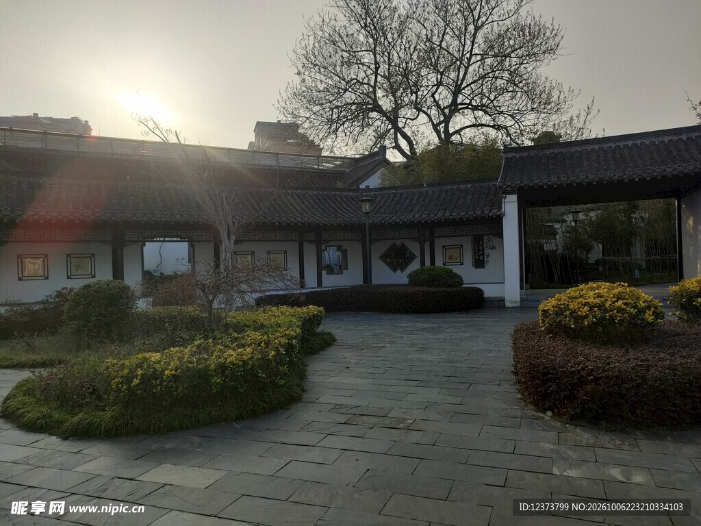 中式庭院晨光景致