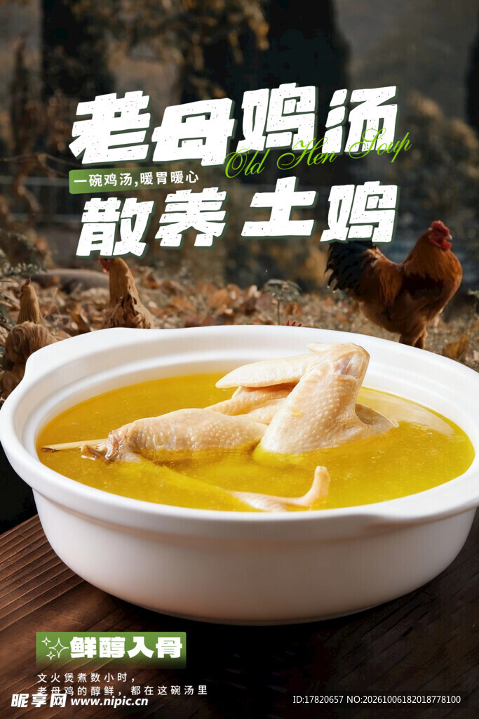 鸡汤