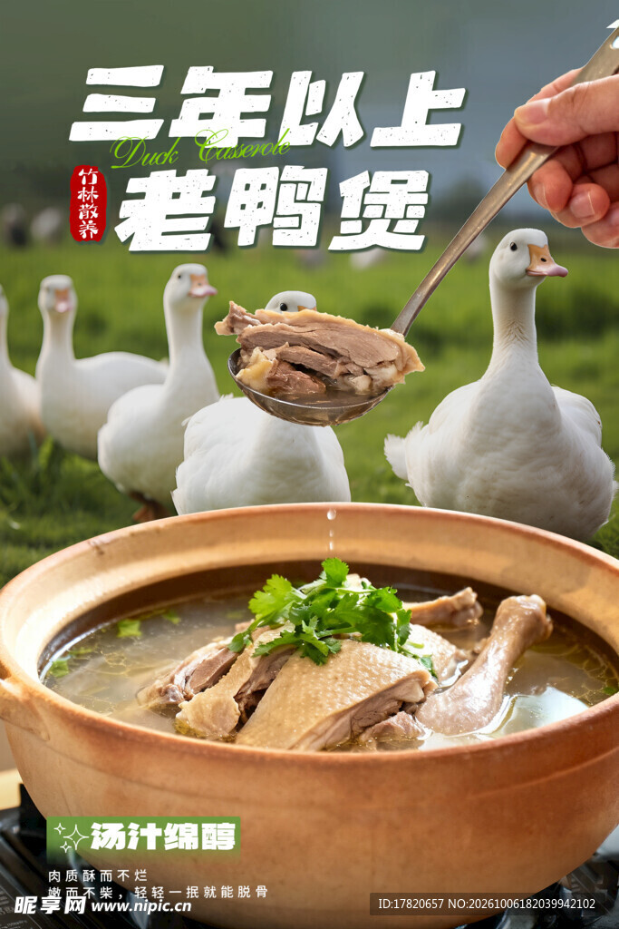 老鸭汤 