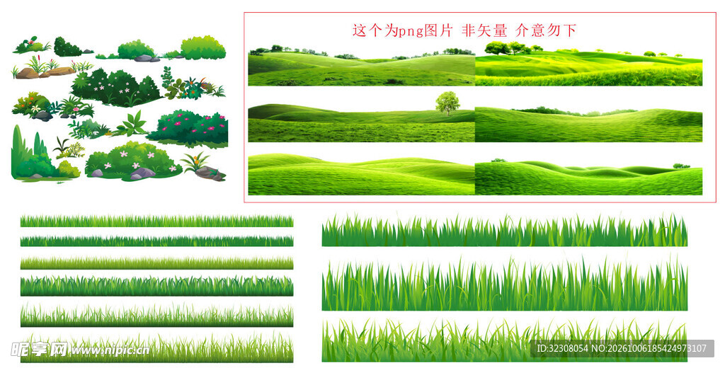 绿色草丛