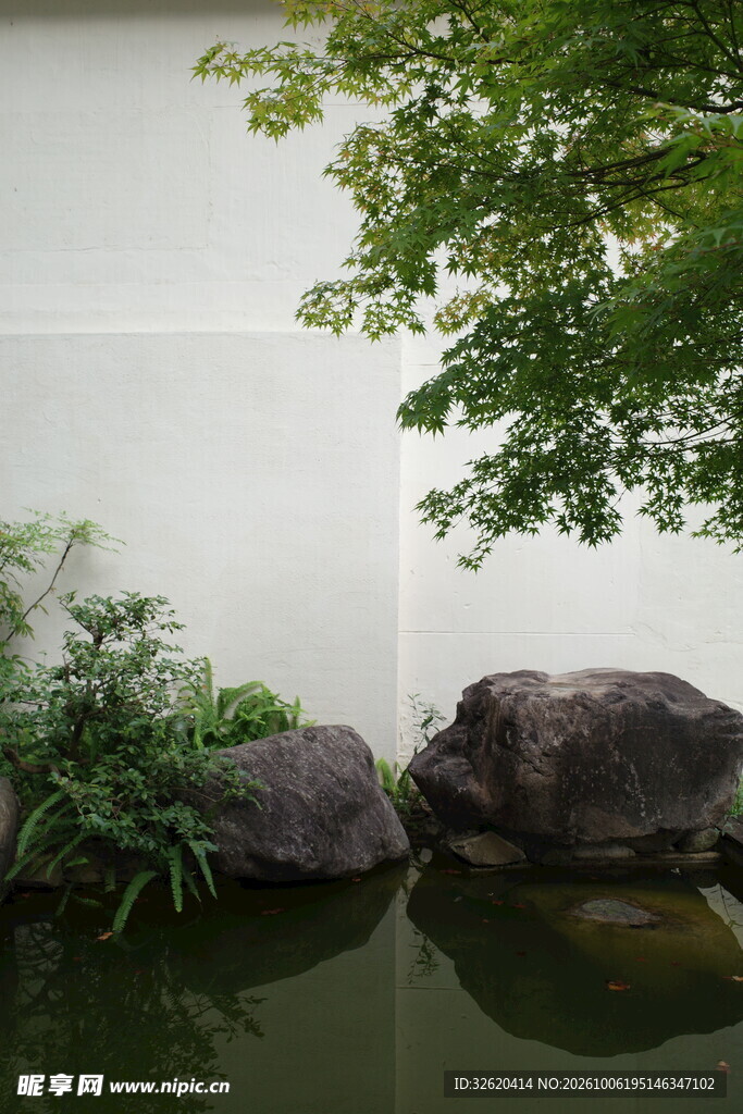 朦胧雾色湖岸水景