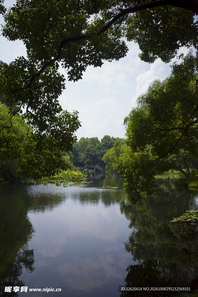 林间静谧湖景风光