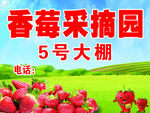 草莓采摘园宣传海报