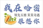 哈密