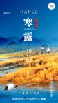 寒露节气宣传海报