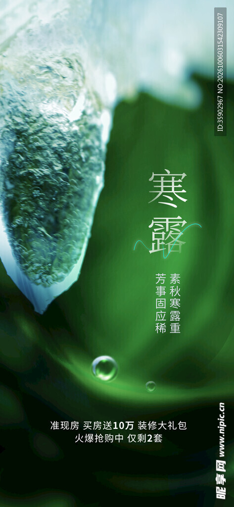 寒露节气创意海报
