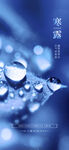 寒露节气水滴创意海报