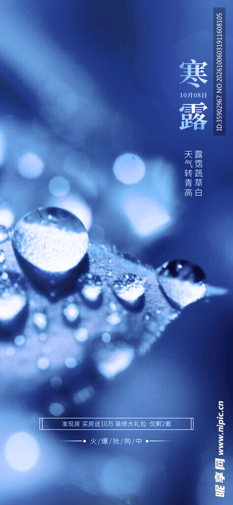 寒露节气水滴创意海报