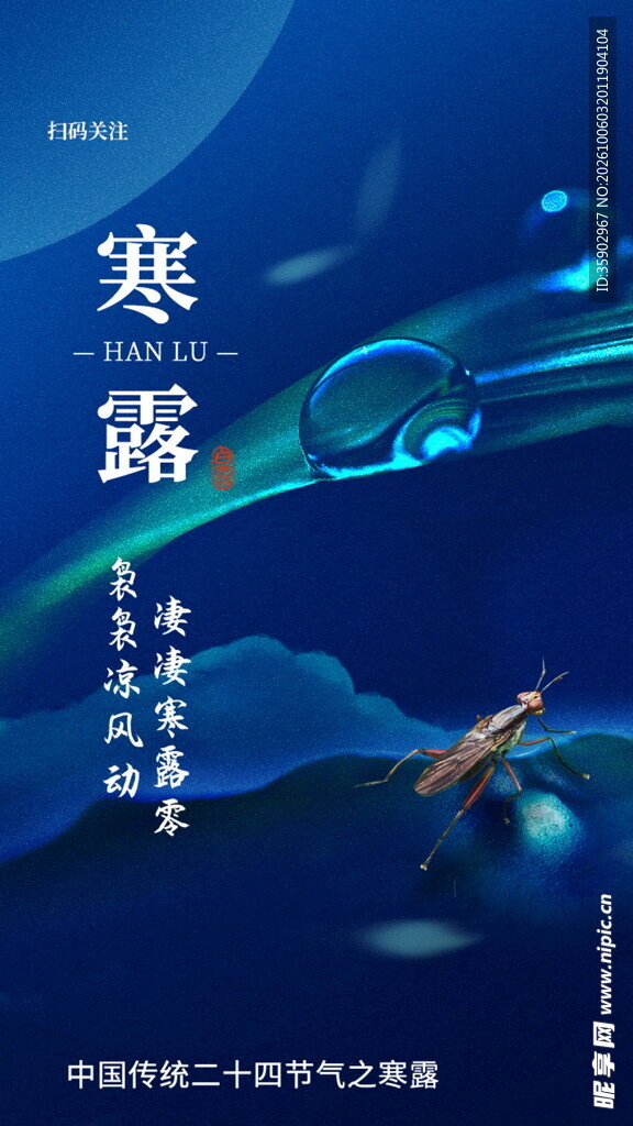 寒露节气国风海报