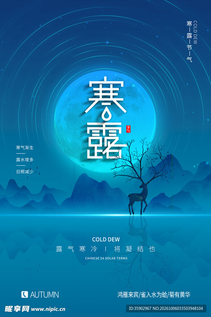 寒露节气创意海报
