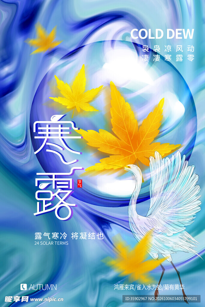 寒露节气创意海报