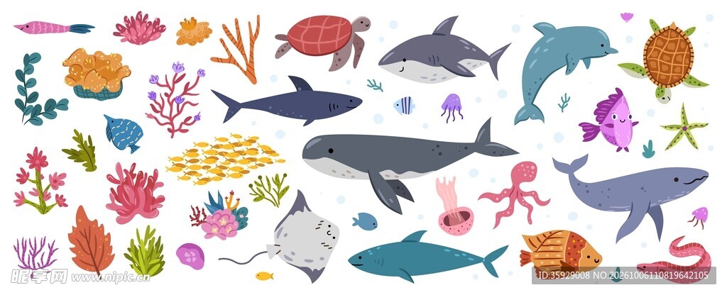 海洋生物插画