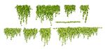 垂吊绿植素材