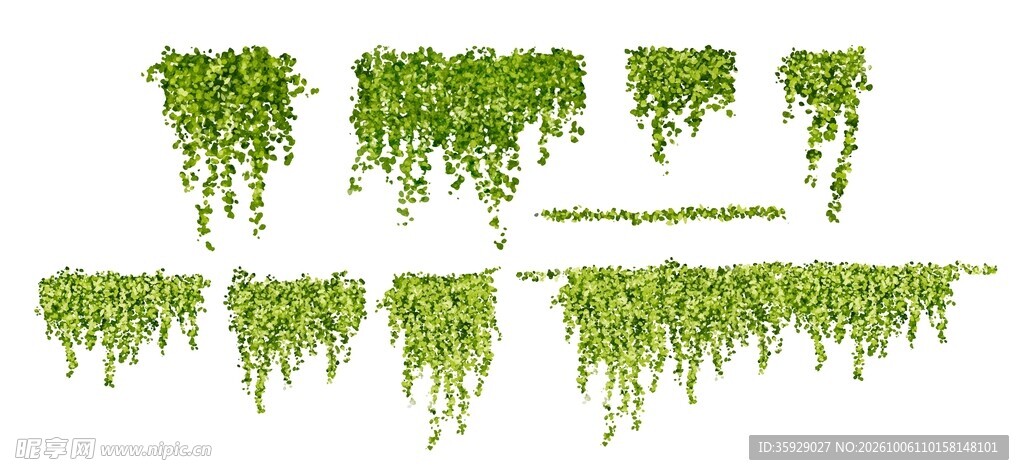 垂吊绿植素材