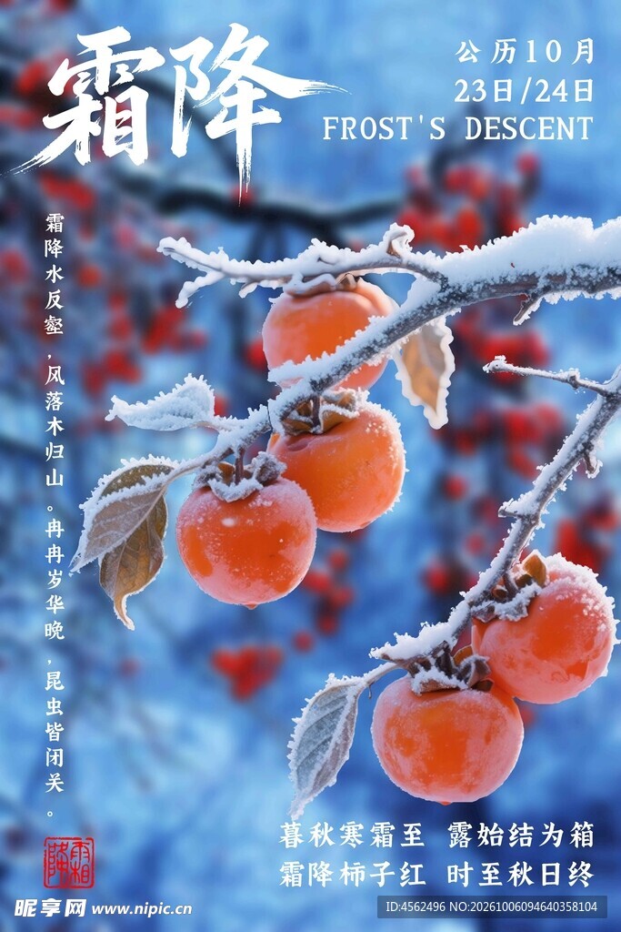霜降柿子节气创意海报