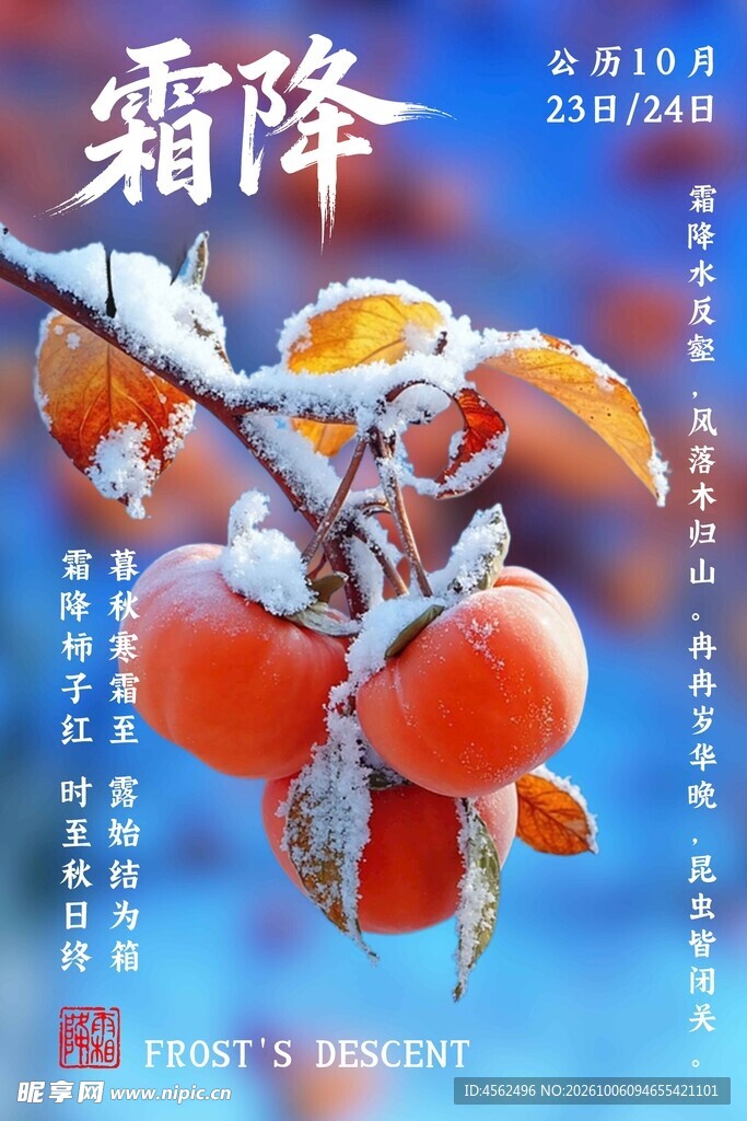 霜降节气柿子主题海报