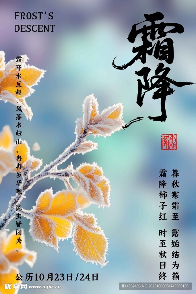 霜降节气国风海报
