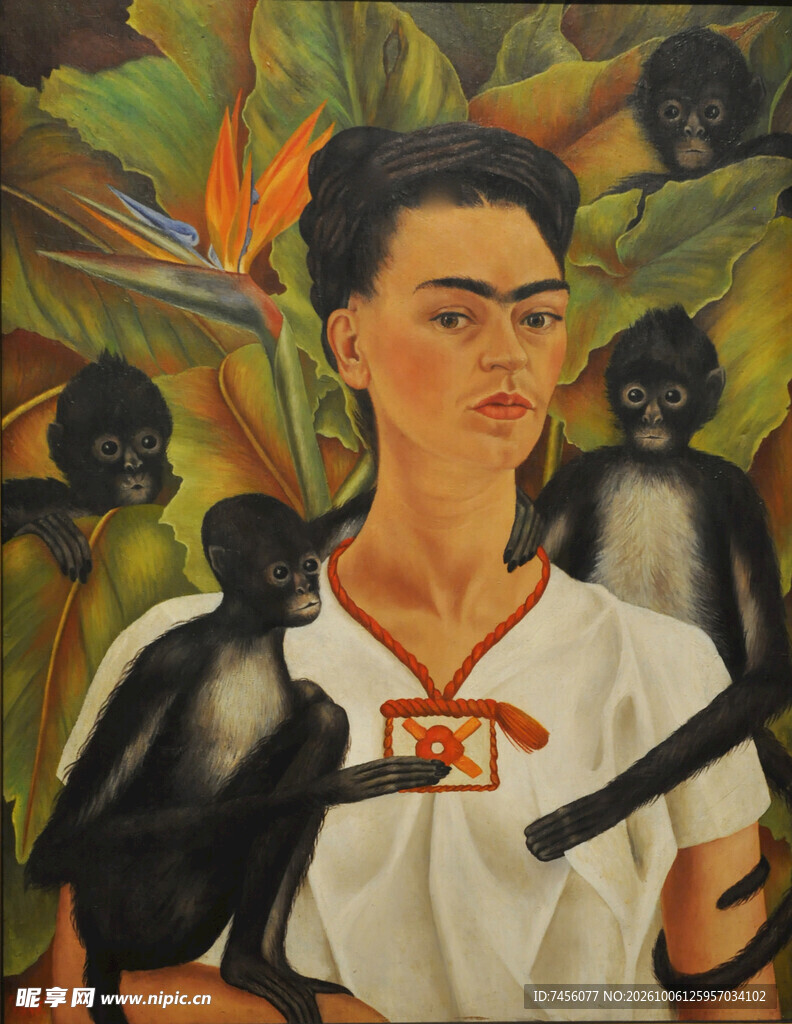 弗里达与猴子自画像