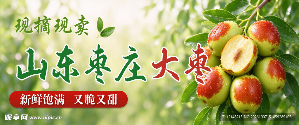 山东大枣