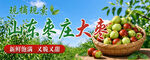 山东大枣