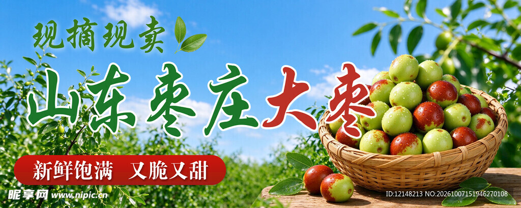山东大枣