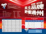 燃气壁挂炉