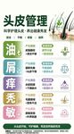 头皮管理科普宣传海报