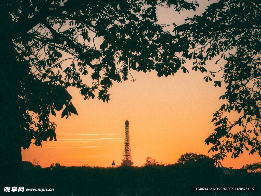 林间夕照高塔剪影