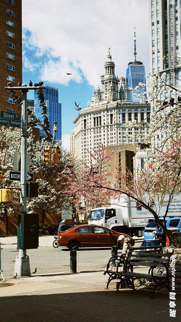 纽约春日城市街景
