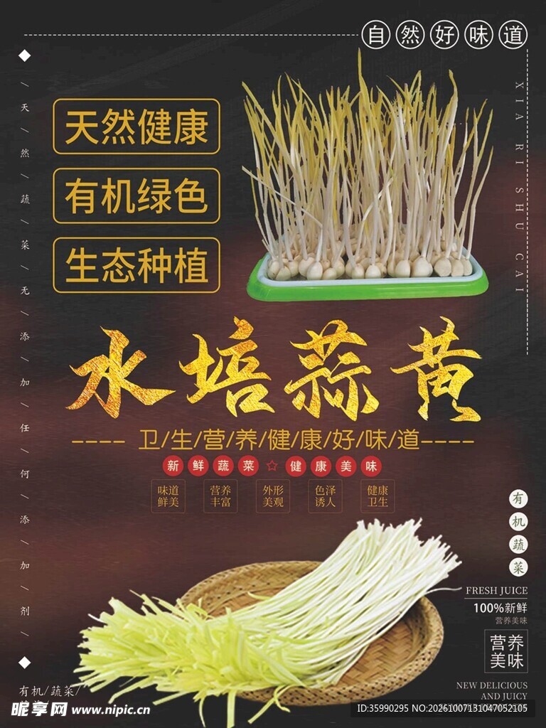 水培蒜黄宣传海报