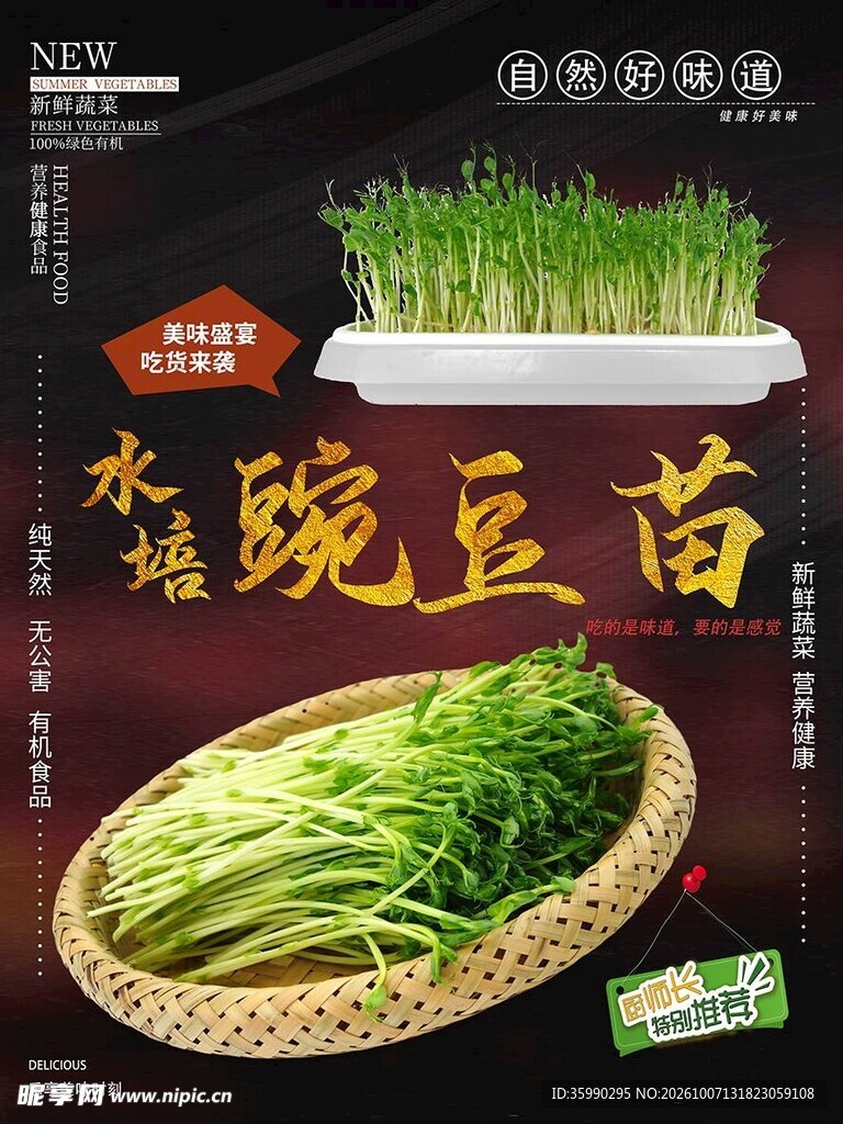 水培豌豆苗宣传海报