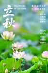 立秋荷塘节气海报