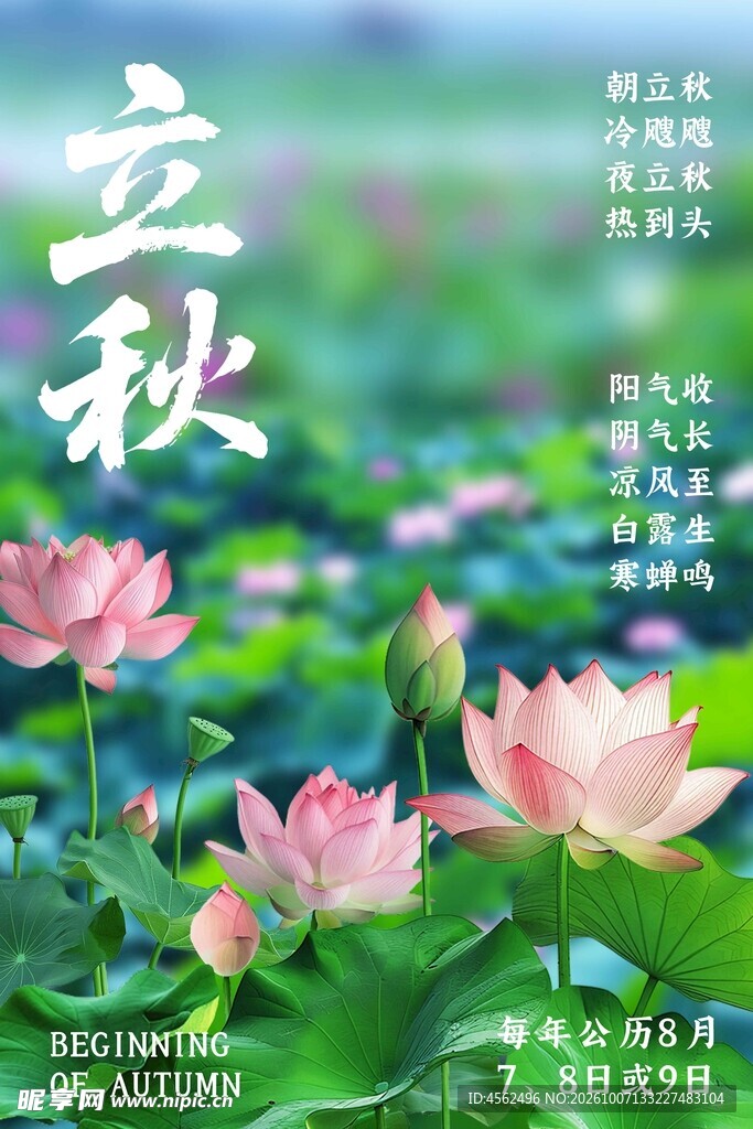 立秋荷塘节气海报