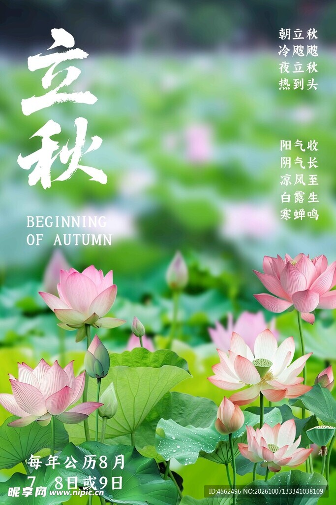 立秋荷塘节气海报