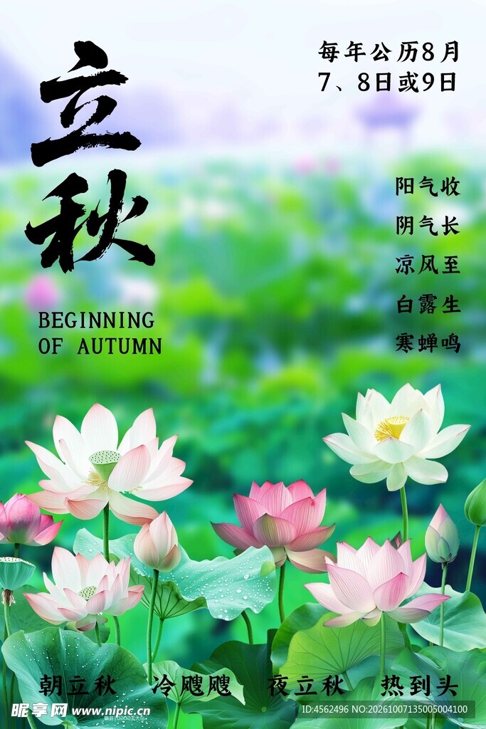 立秋节气荷塘主题海报