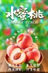 水蜜桃鲜果宣传海报