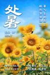 处暑向日葵节气海报
