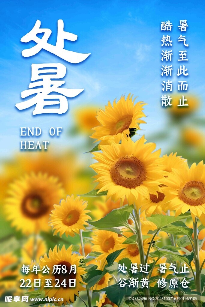 处暑向日葵节气海报