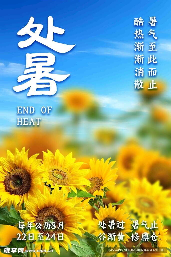 处暑向日葵节气海报