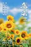 处暑向日葵节气海报