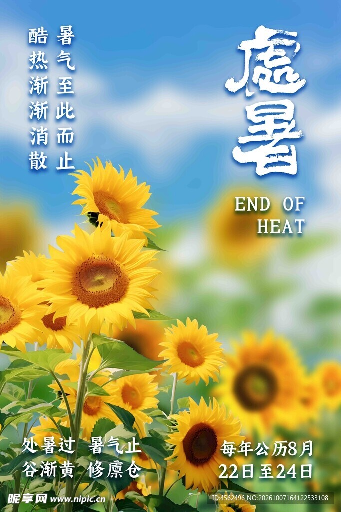 处暑向日葵节气海报