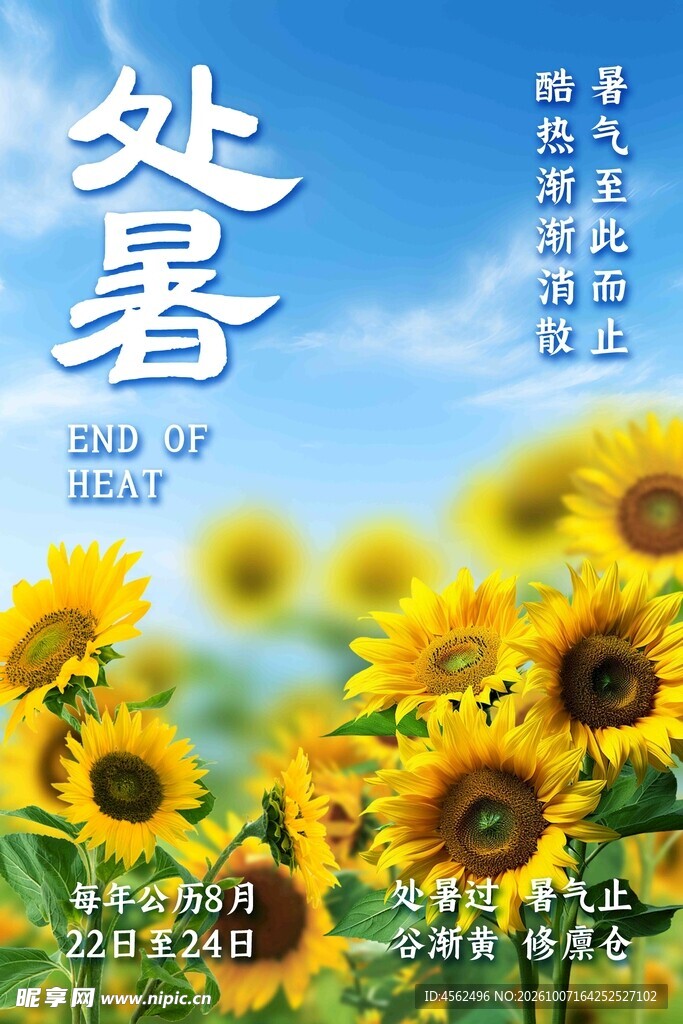 处暑节气向日葵海报