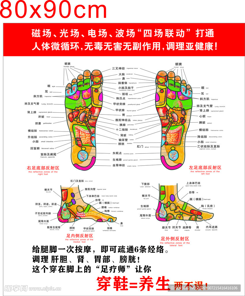 足部穴位养生图解
